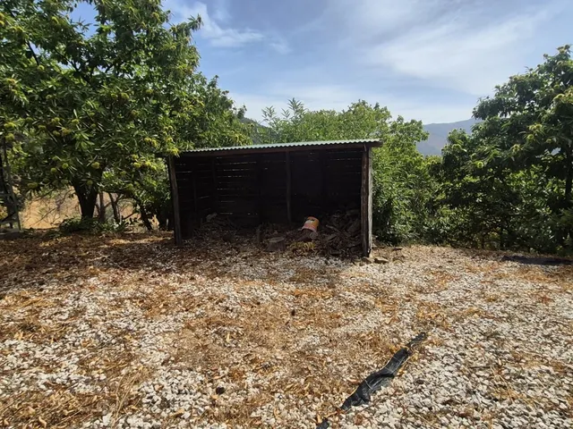Casa-Chalet en Venta en Jubrique Málaga — 74