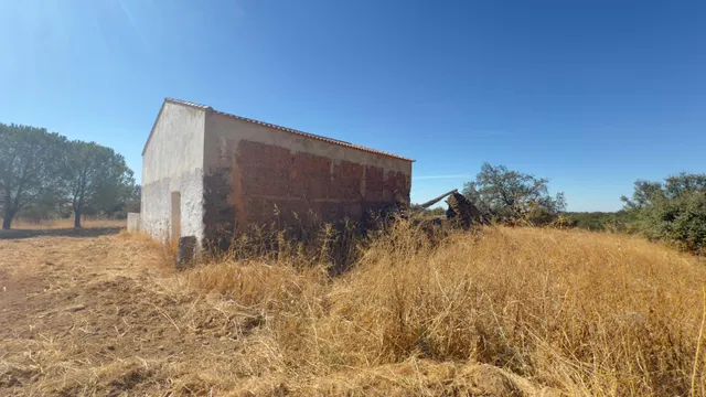 FINCA DE ENCINAR EN EL CERRO DEL ANDÉVALO — 11