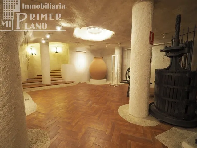 LOCAL EN EL CENTRO DE TOMELLOSO POR 115.000 € — 18