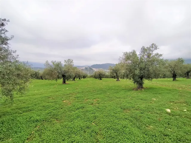Espectacular finca en la localidad de Alozaina — 3