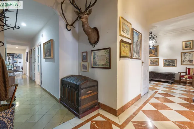 EXCLUSIVA VIVIENDA SEÑORIAL EN ANGEL GANIVET, EN PLENO CORAZON DE GRANADA — 17