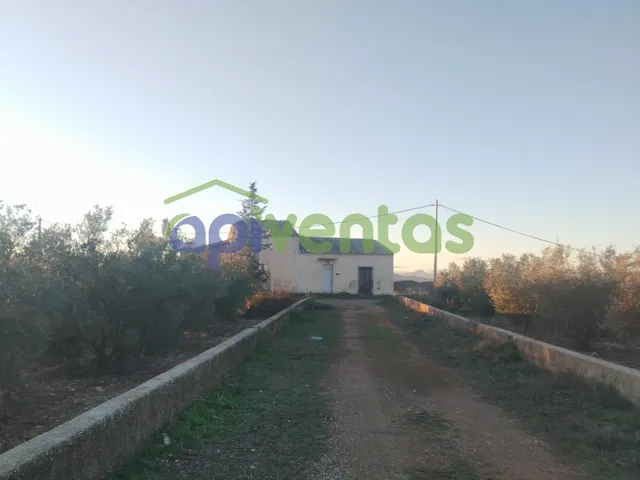 Casa de piedra con 61 hectáreas de terreno — 3