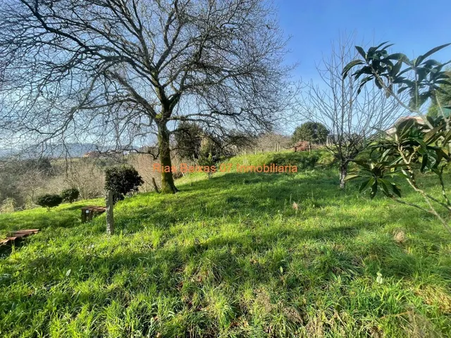 REF 4211 CASA CON JARDÍN IDEAL FIN DE SEMANA TAMEIGA ( MOS ) — 18