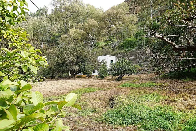 Encantadora Casa Rústica en Teror, Zona del Hornillo, con Am