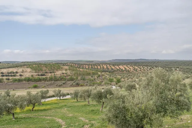 Casa de diseño en parcela de 985 m2 en Cúllar Vega (El Ventorrillo) — 24