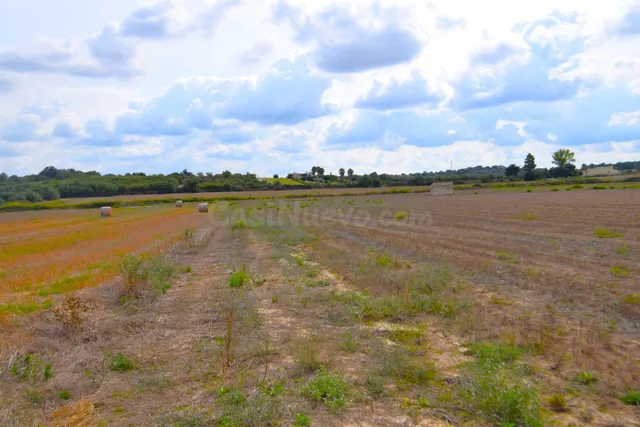 Finca con proyecto básico aprobado para una vivienda en Muro