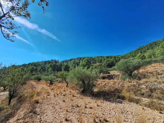Finca rústica con olivos, almendros y vistas al castillo, a 3 km de Castalla — 10.000 € — 2