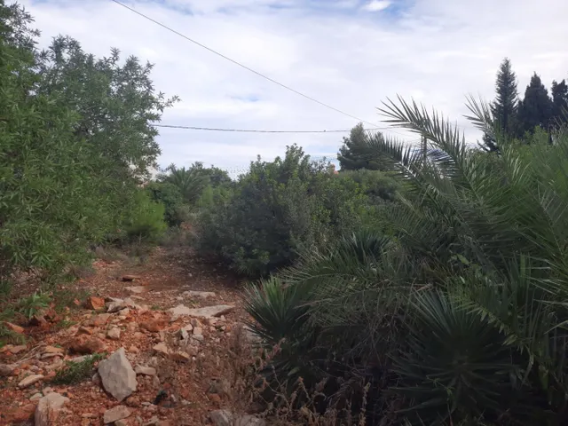Parcela con vistas en galeretes — 7