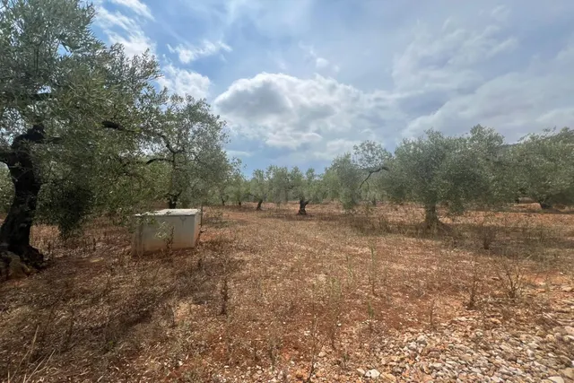 Finca rústica con caseta de aperos en Freginals - foto 2