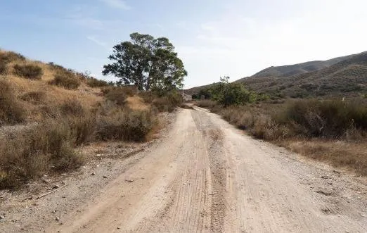 Terreno urbanizable en transformación en venta en carretera  - foto 2