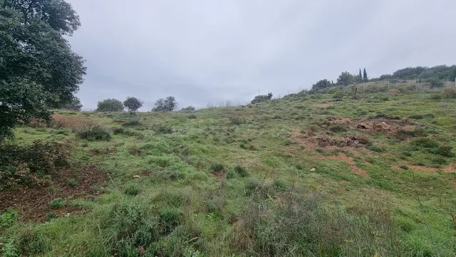 Parcela en venta - South of spain
