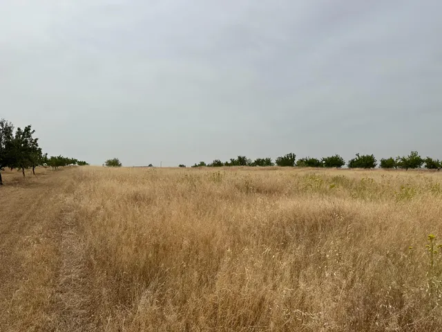 VENTA DE SOLAR INDUSTRIAL EN CHIMENEAS — 37