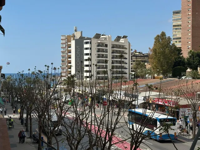 AMPLIO PISO EN ZONA CENTRO JAIME 1º — 33