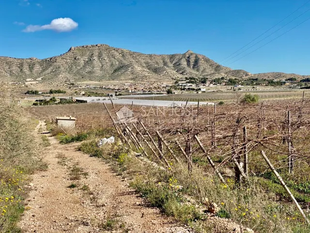 VENTA DE PARCELA EN ASPE EN MUY BUENA ZONA DE 11.040 M2 - foto 2