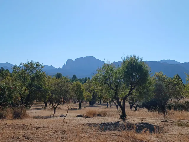Finca rústica con maset en Arnes — 9