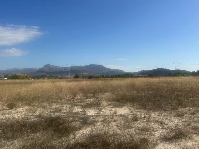 Terreno Rural Agrario de 13.000 m2 en Beties – Monóvar — 11