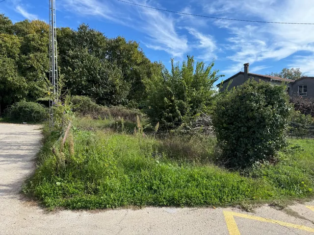 el carrascal — 15