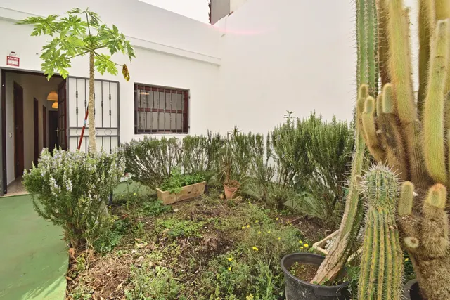 Excelente Casa Terrera en Pleno Centro — 33