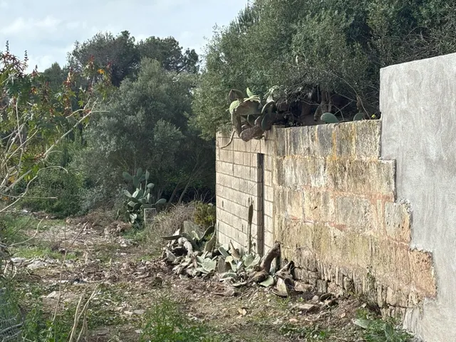Solar en Muro — 8