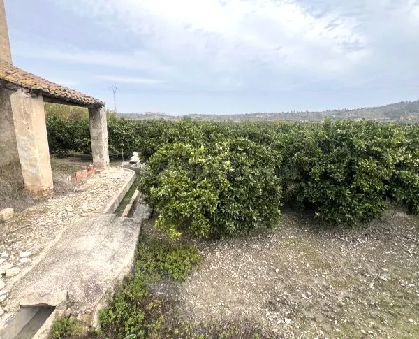 Piso 1051m² en venta - Comunidad valenciana - foto 4