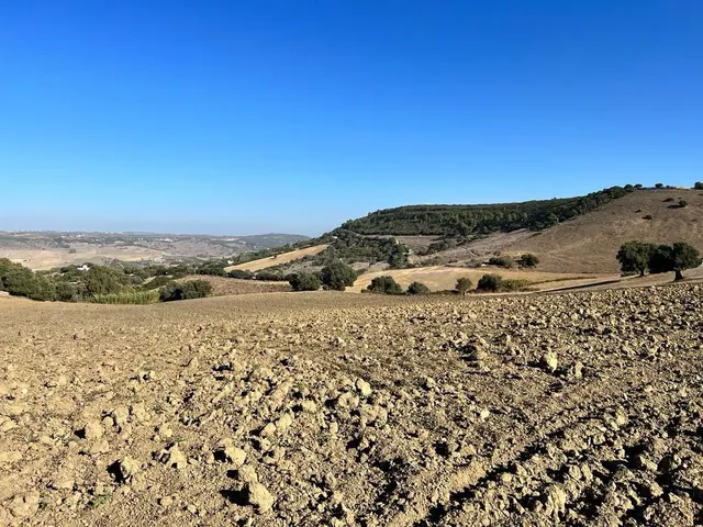 ESTUPENDA PARCELA RUSTICA EN VEJER DE LA FRONTERA - foto 4