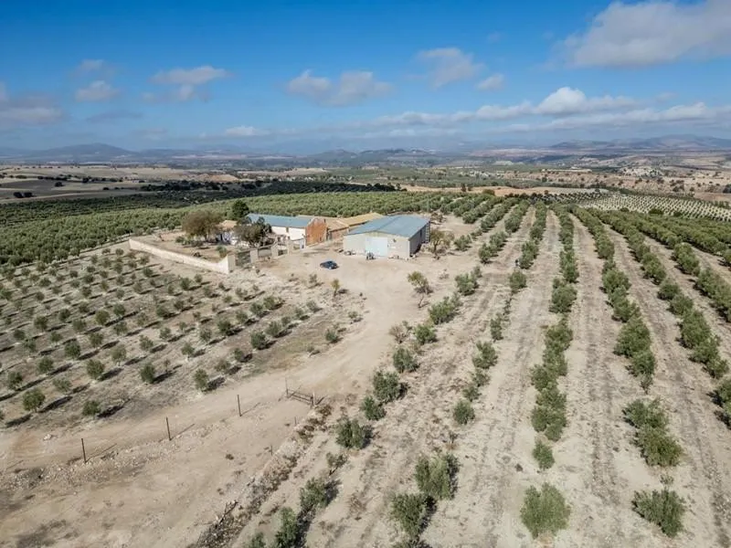 IMPRESIONANTE OPORTUNIDAD DE INVERSIÓN EN ALAMEDILLA!!