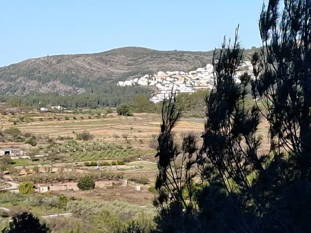 Se venden varias parcelas unificadas con un total de 24158 m2 en Benigembla, — 13
