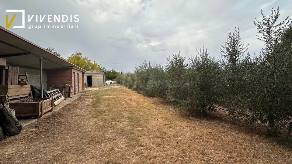 Terreno en venta - partida canet