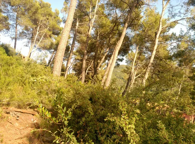 Espectacular terreno que da a dos calles, en Corbera de Llobregat, cerca Hotel Can Fisa. — 30