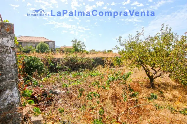 Casa-Chalet en Venta en Paso, El Santa Cruz de Tenerife — 20