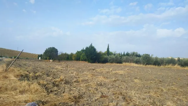 Huerta en venta — 2