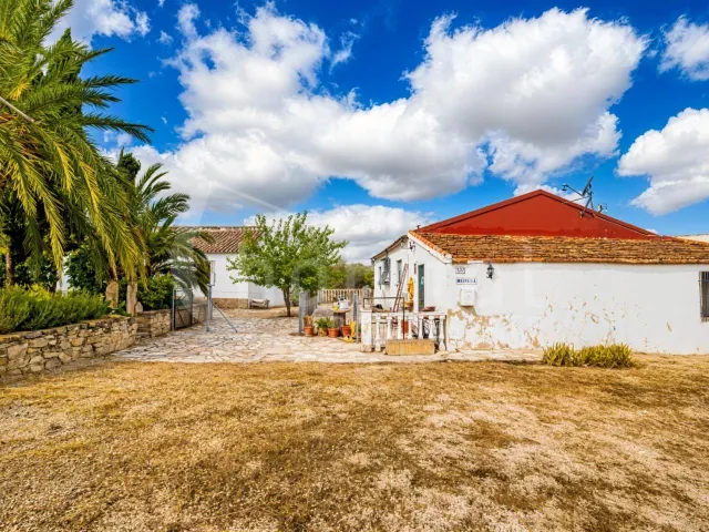 Casa de Campo en Torremendo /orihuela — 7