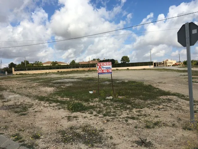 Parcela urbana de casi  30.000m2 en Elche - Zona Pena Las Aguilas — 2