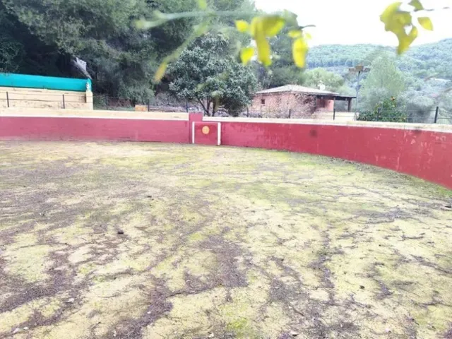 Finca rústica 2 habitaciones 90m² en venta - South of spain — 6