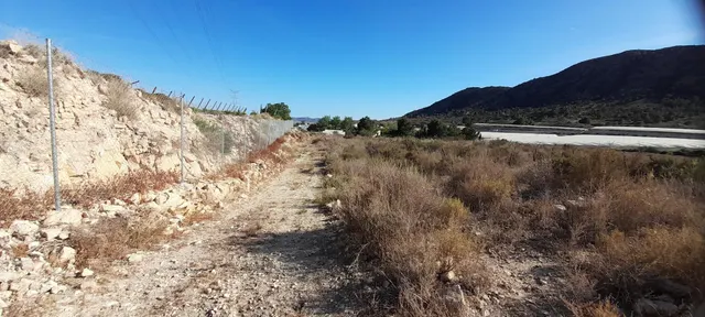PARCELA 30.000 METROS DE TERRENO — 11