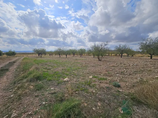 Casa de campo con terreno en la murta, corvera - Murcia — 14