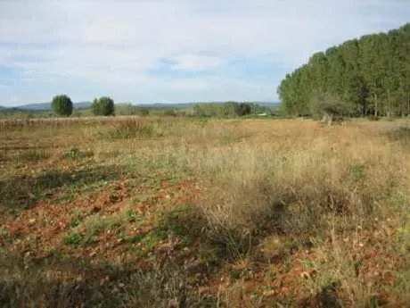 Terreno rural 5000m² en venta - Cortiguera - foto 2