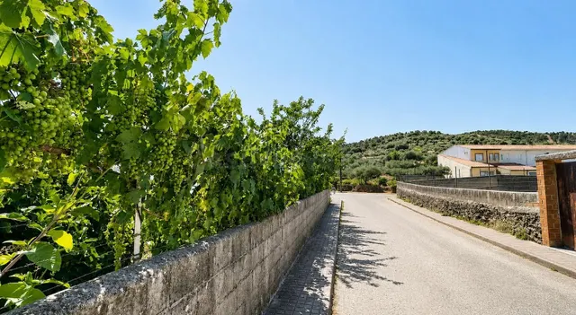 Una casa para volver al pueblo, disfrutar del verano y crear - foto 3
