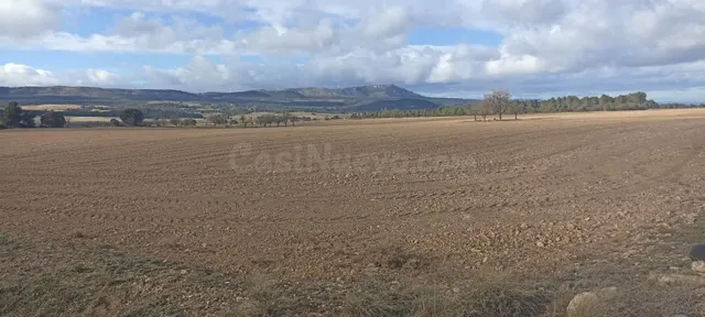 TERRENO EN CASAS DE MADRONA - foto 3