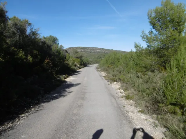 MASIA PARA REFORMAR  CON ALMACENES EN UNA FINCA DE 10 HECTÁREAS — 41