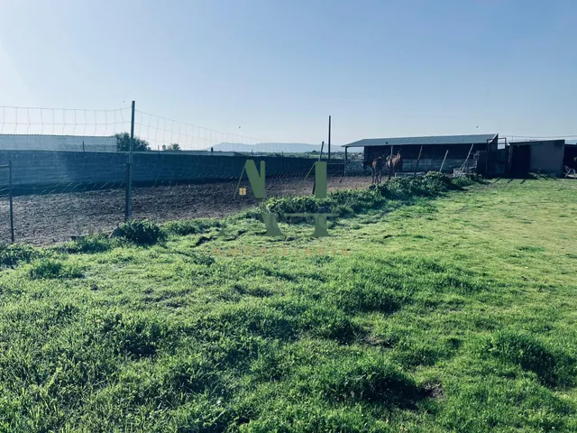 Terreno Urbano Industrial en Malpartida de Cáceres - foto 2