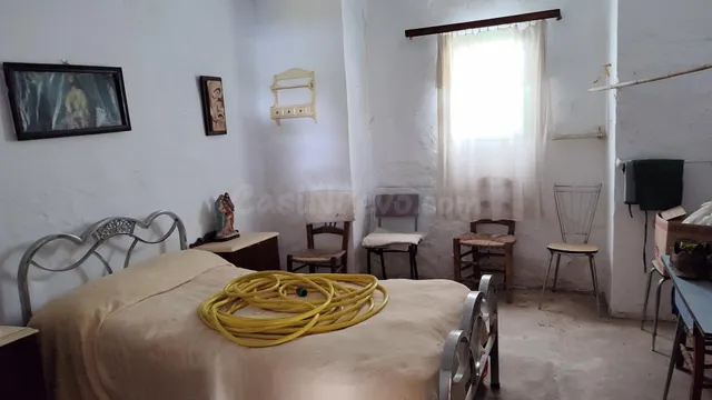 Venta de casa de campo y olivar - foto 3