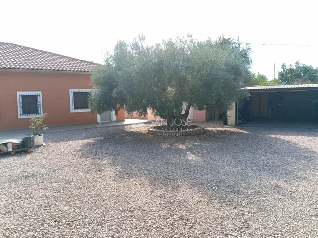 SE VENDE CHALET EN BUEN ESTADO EN MONFORTE DEL CID EN LA ZONA DEL FONT DEL LLOP — 29