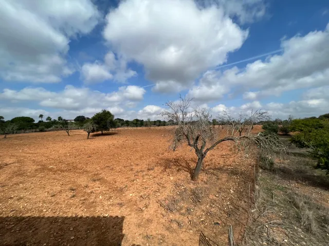 TERRENO EN SINEU PARA CONSTRUIR VIVIENDA DE 800 m2 - foto 3