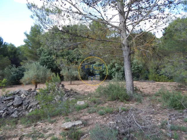 REFUGIO CON  BUENA PARCELA EN LA  SIERRA DE MARIOLA (ALICANTE) — 5