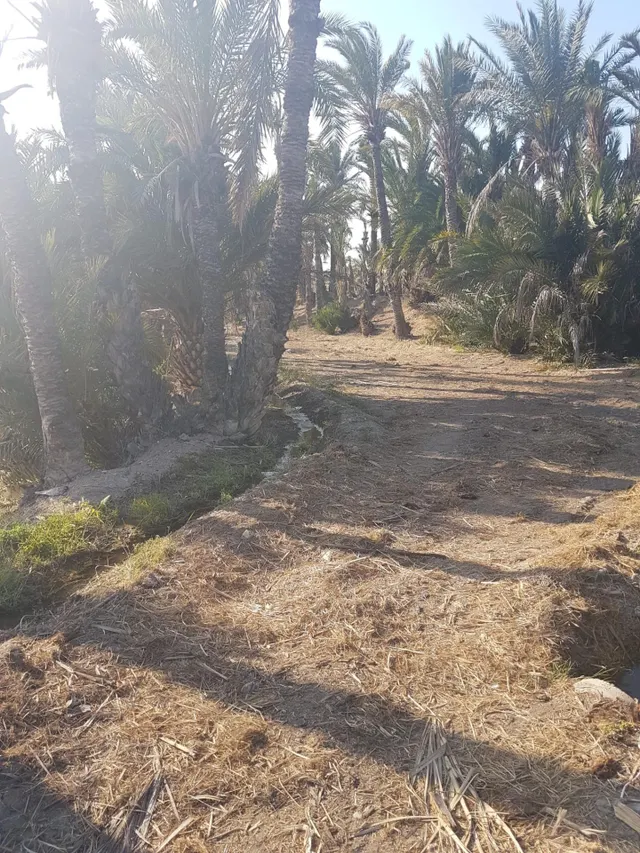 terreno para construir chalet — 13