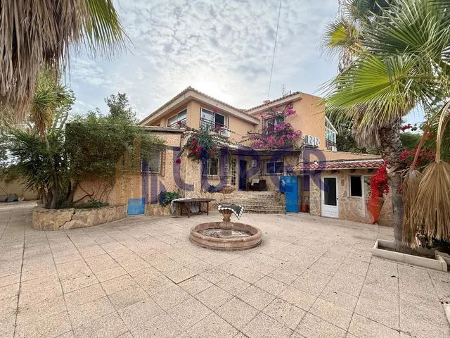 ✨ Una finca única para quienes buscan mucho más que una vivienda, en Alicante Tangel. — 3