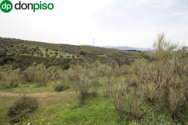 FINCA EN CORTIJO SAN JERÓNIMO (BARTODANO) — 38