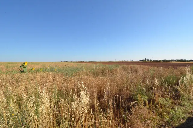 Urbis te ofrece un terreno en venta en Castellanos de Villiquera, Salamanca. — 3
