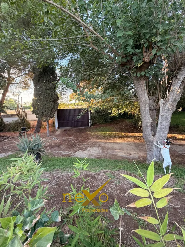 GRAN CHALET LOS FRUTALES DEL ALCOR — 12